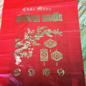 tui_chuc_mung_nam_moi